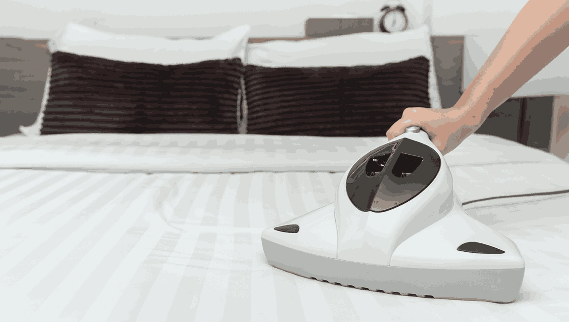 Professional Mattress Cleaning Seddon